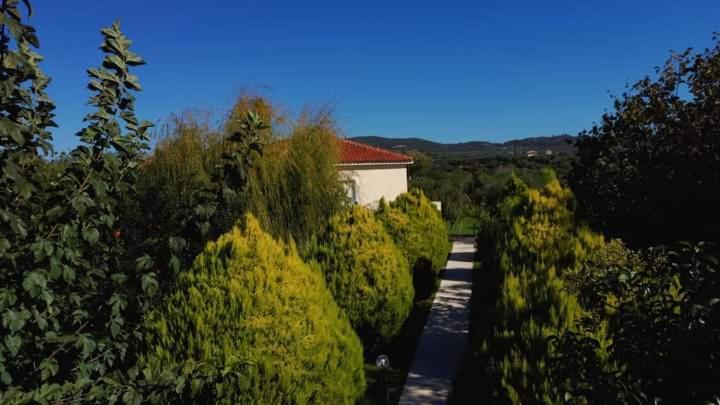 Апартаменты Katerina House Финикунда Экстерьер фото